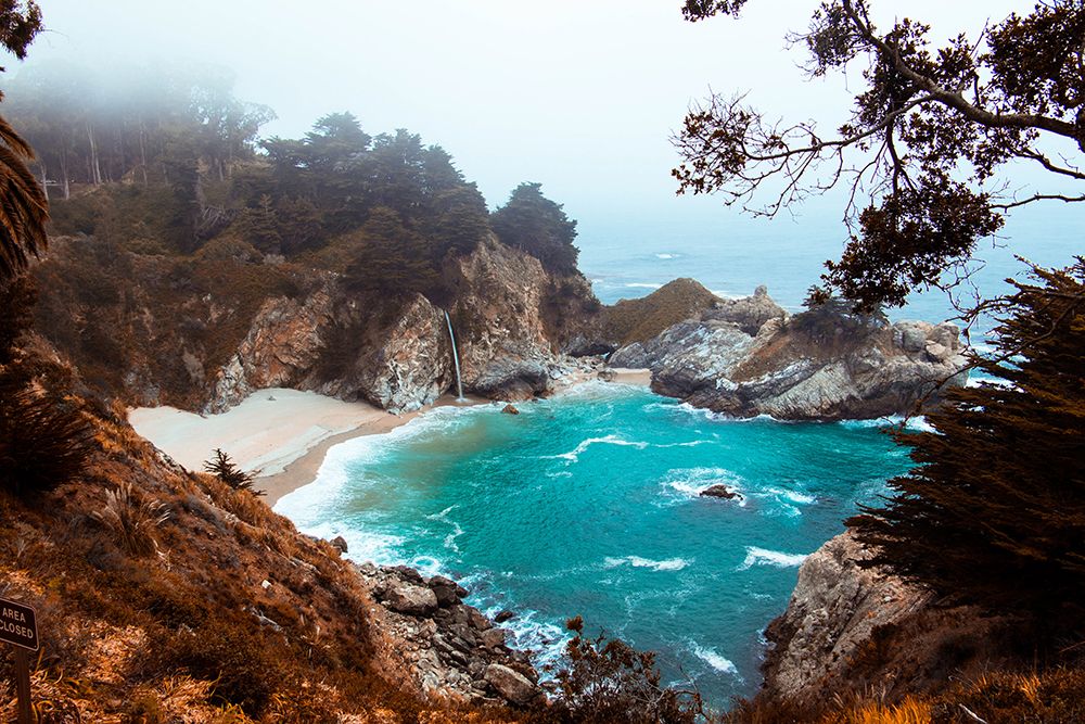 Julia Pfeiffer Burns State Park, Big Sur art print by Artographie for $57.95 CAD