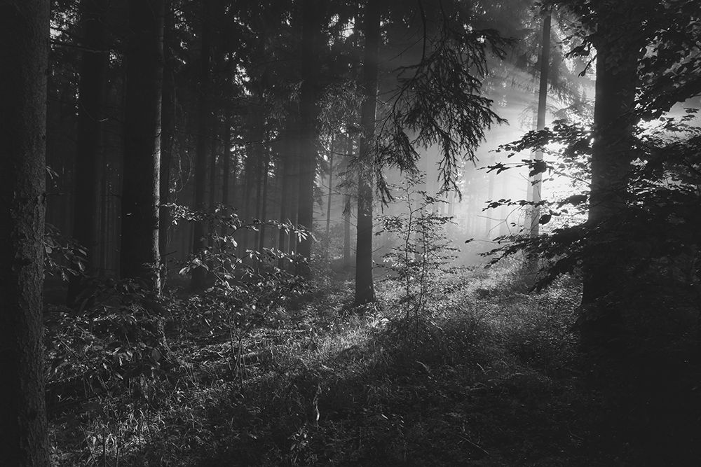 Last Light art print by Artographie for $57.95 CAD
