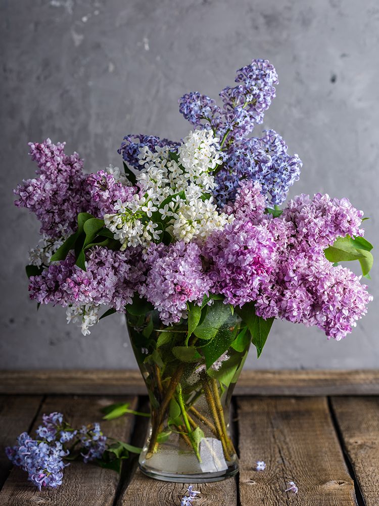 Lilac Still Life art print by Artographie for $57.95 CAD