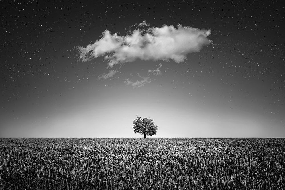 Lonely Tree art print by Artographie for $57.95 CAD