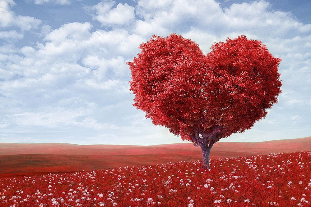 Red Love art print by Artographie for $57.95 CAD