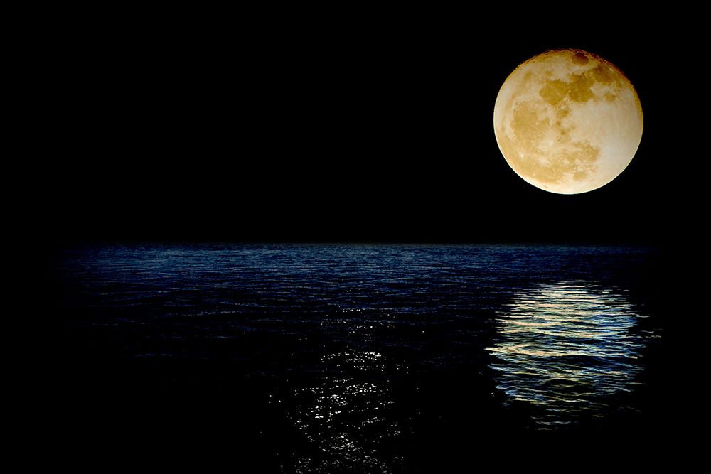 Reflecting the Moon art print by Artographie for $57.95 CAD