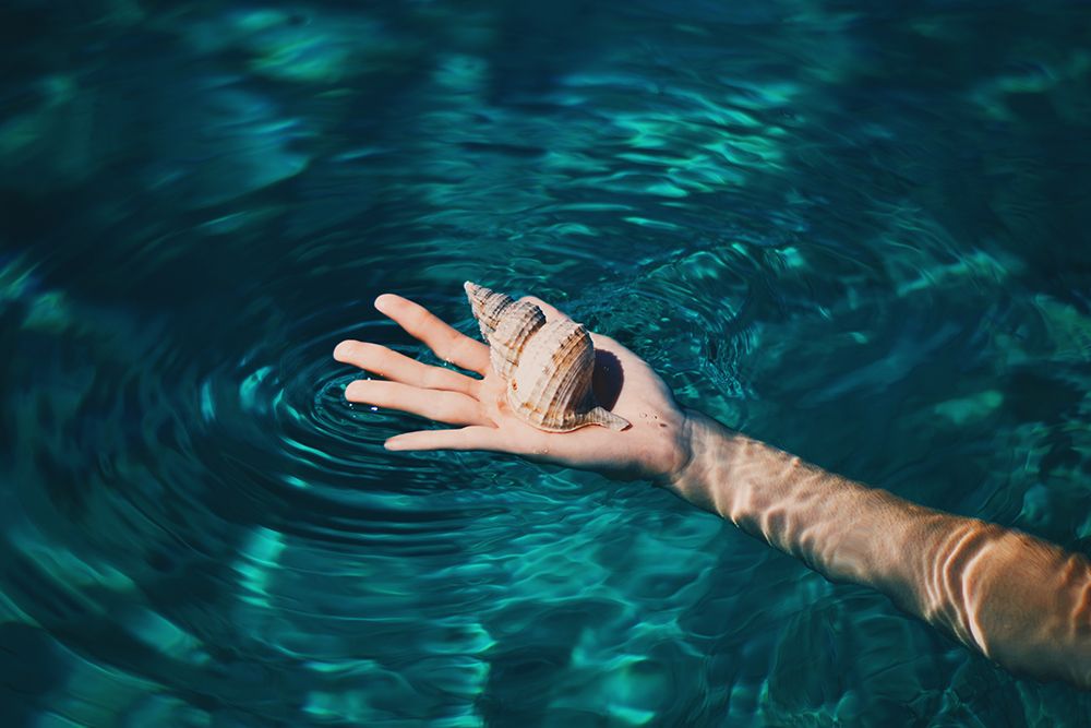 Seashell in Hand art print by Artographie for $57.95 CAD