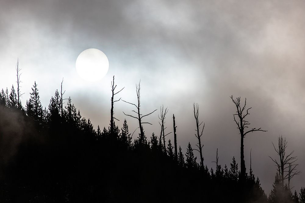 Steamy Sunrise over Roaring Mountain art print by Artographie for $57.95 CAD