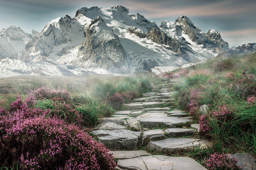 The Path at the Top of the World art print by Artographie for $57.95 CAD