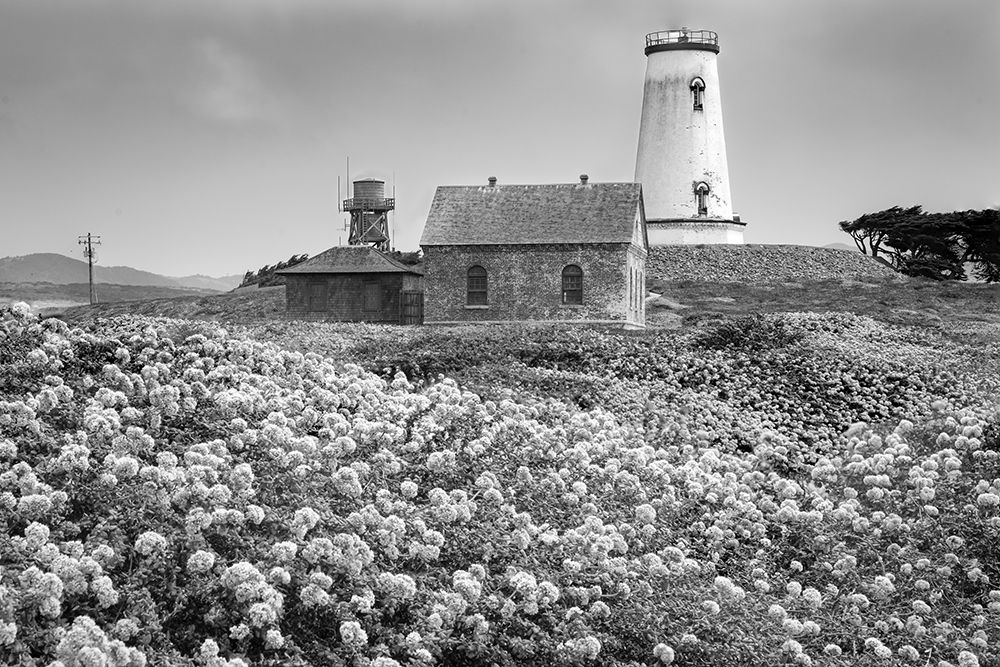 The Piedras Blancas Light Station, California art print by Artographie for $57.95 CAD