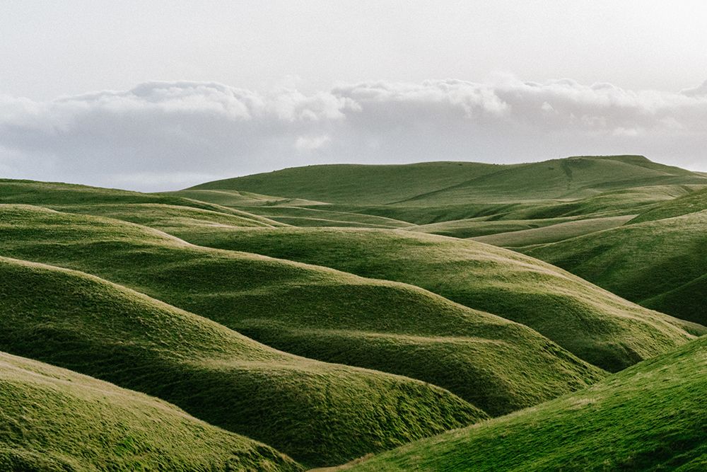 The Rolling Hills art print by Artographie for $57.95 CAD