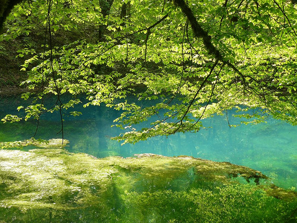 Tranquil River art print by Artographie for $57.95 CAD