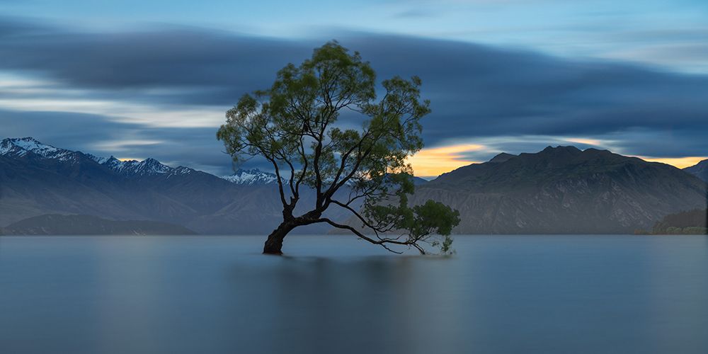 Tree in the Lake art print by Artographie for $57.95 CAD