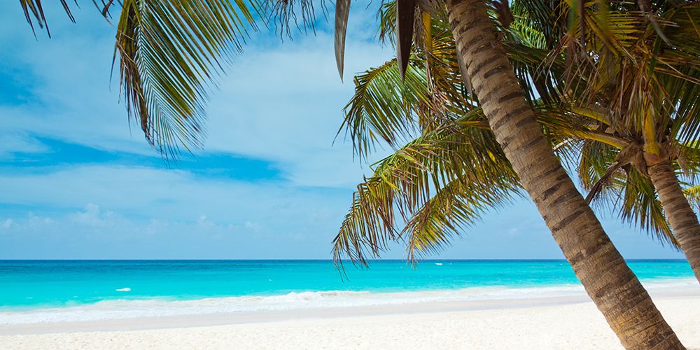 Tropical Paradise art print by Artographie for $57.95 CAD