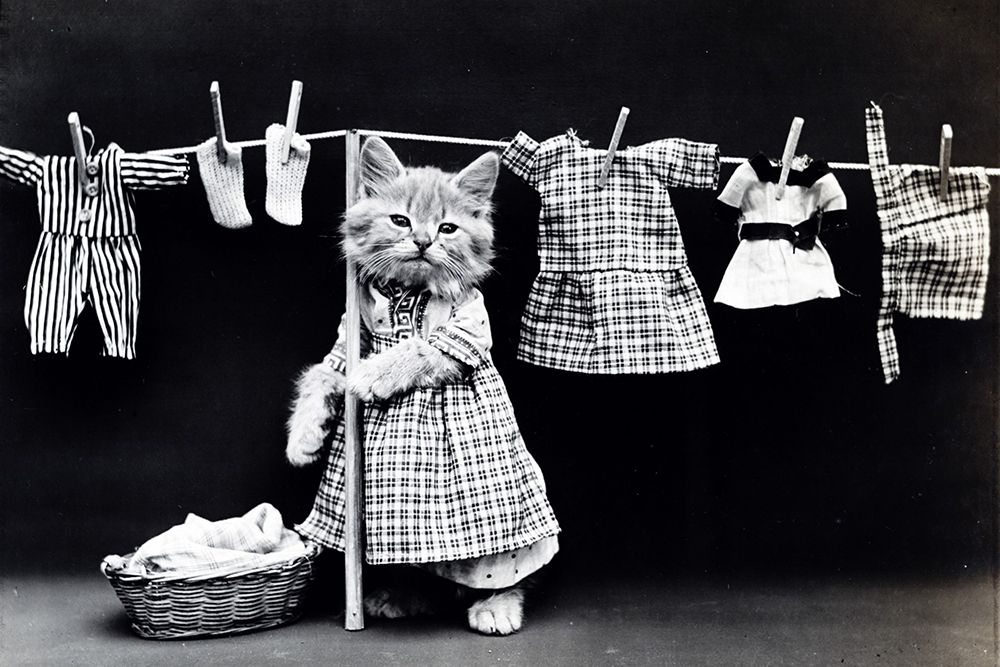 Washing Day art print by Artographie for $57.95 CAD