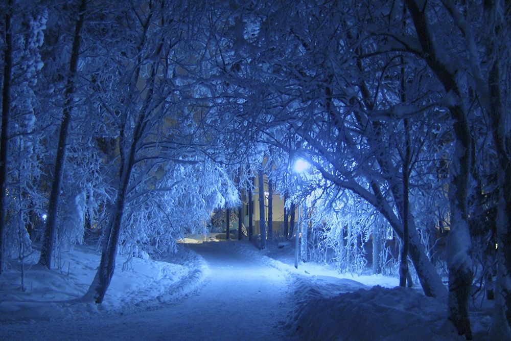 Winter Trail art print by Artographie for $57.95 CAD