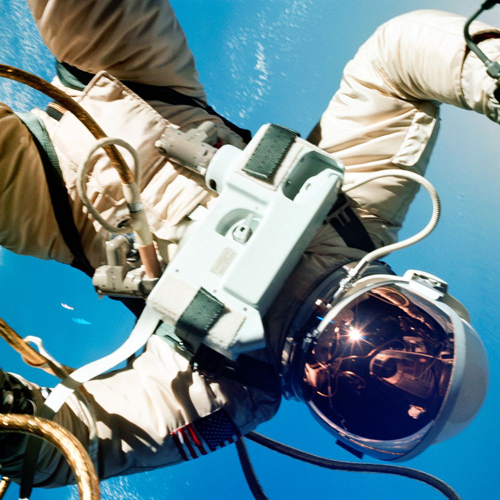 Astronaut Edward H. White II Pilot for the Gemini-Titan 4 art print by NASA for $57.95 CAD