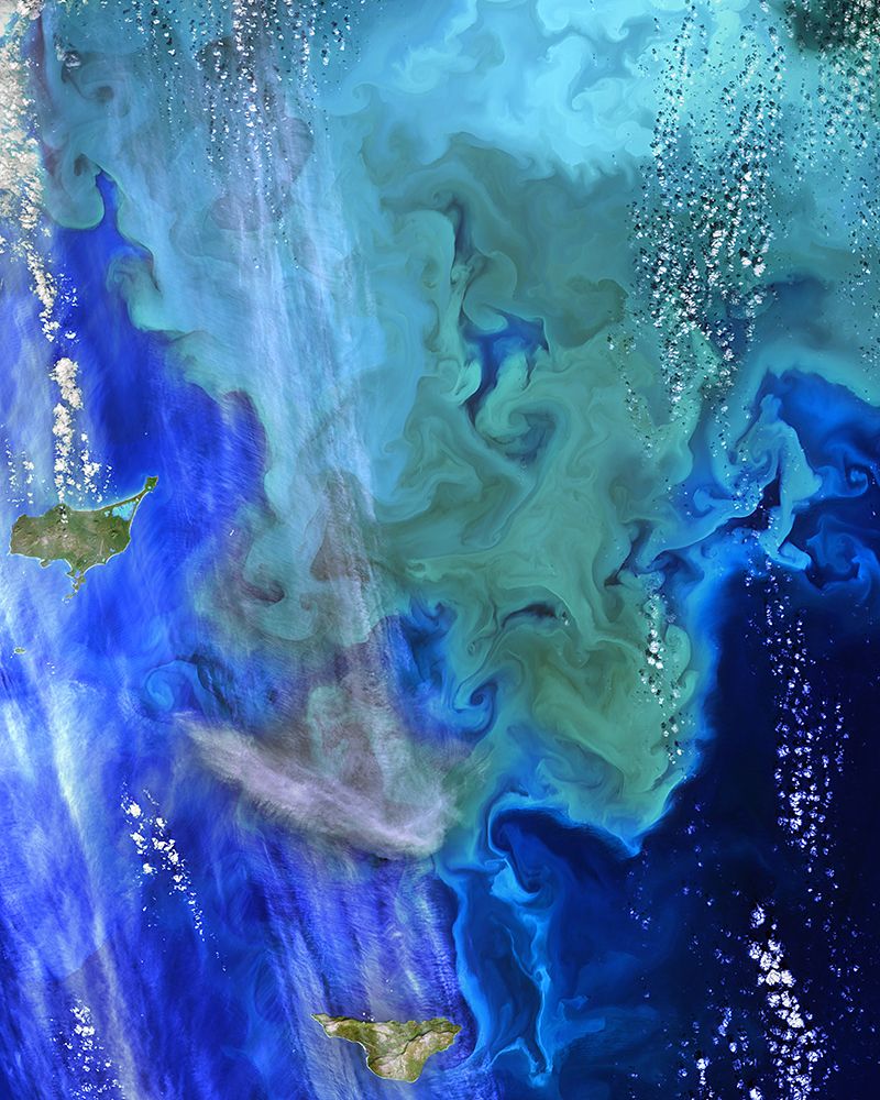 The Oceans Viewed from NASA Satellites art print by NASA for $57.95 CAD