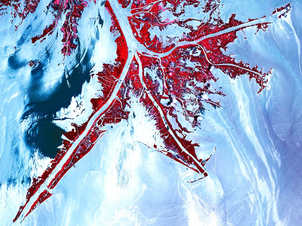 Mississippi River Delta 2010 Viewed from Space art print by NASA for $57.95 CAD