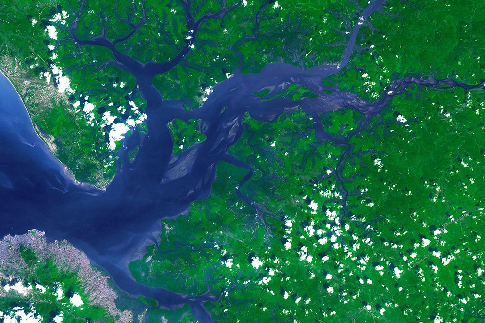 NASAs Terra Spacecraft View of the Sierra Leone Estuary art print by NASA for $57.95 CAD