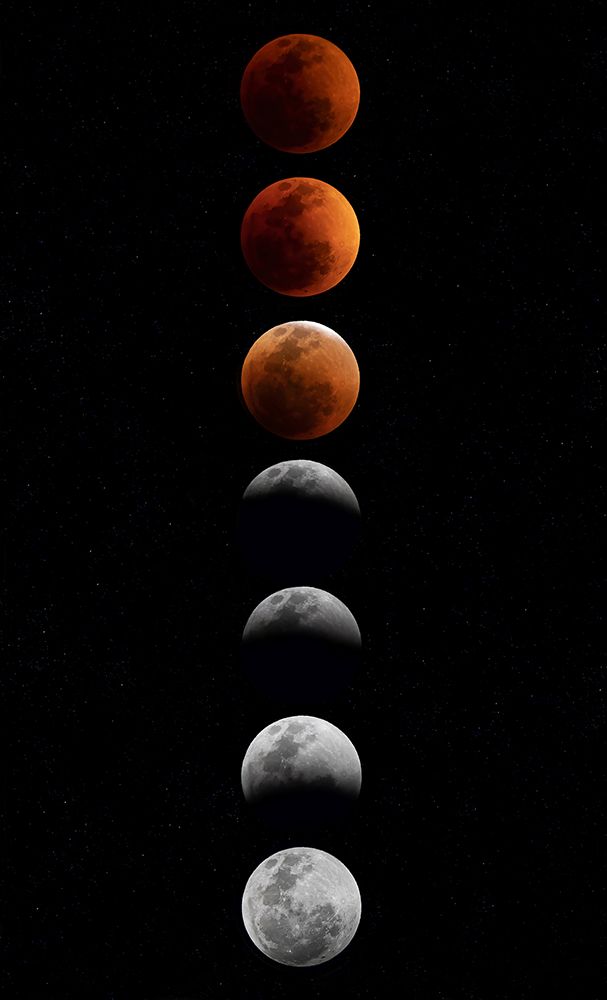 Super Flower Blood Moon art print by Jim Cumming for $57.95 CAD