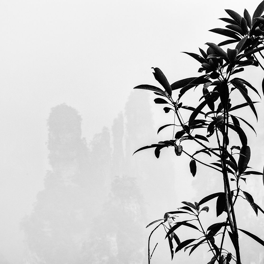 Zen Mountain art print by Praxis Studio for $57.95 CAD