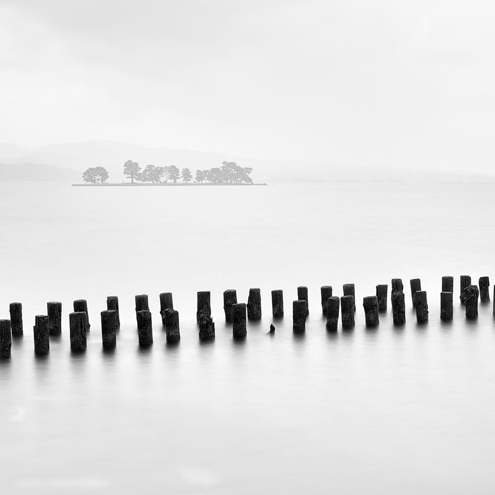 Island and Tree art print by Praxis Studio for $57.95 CAD