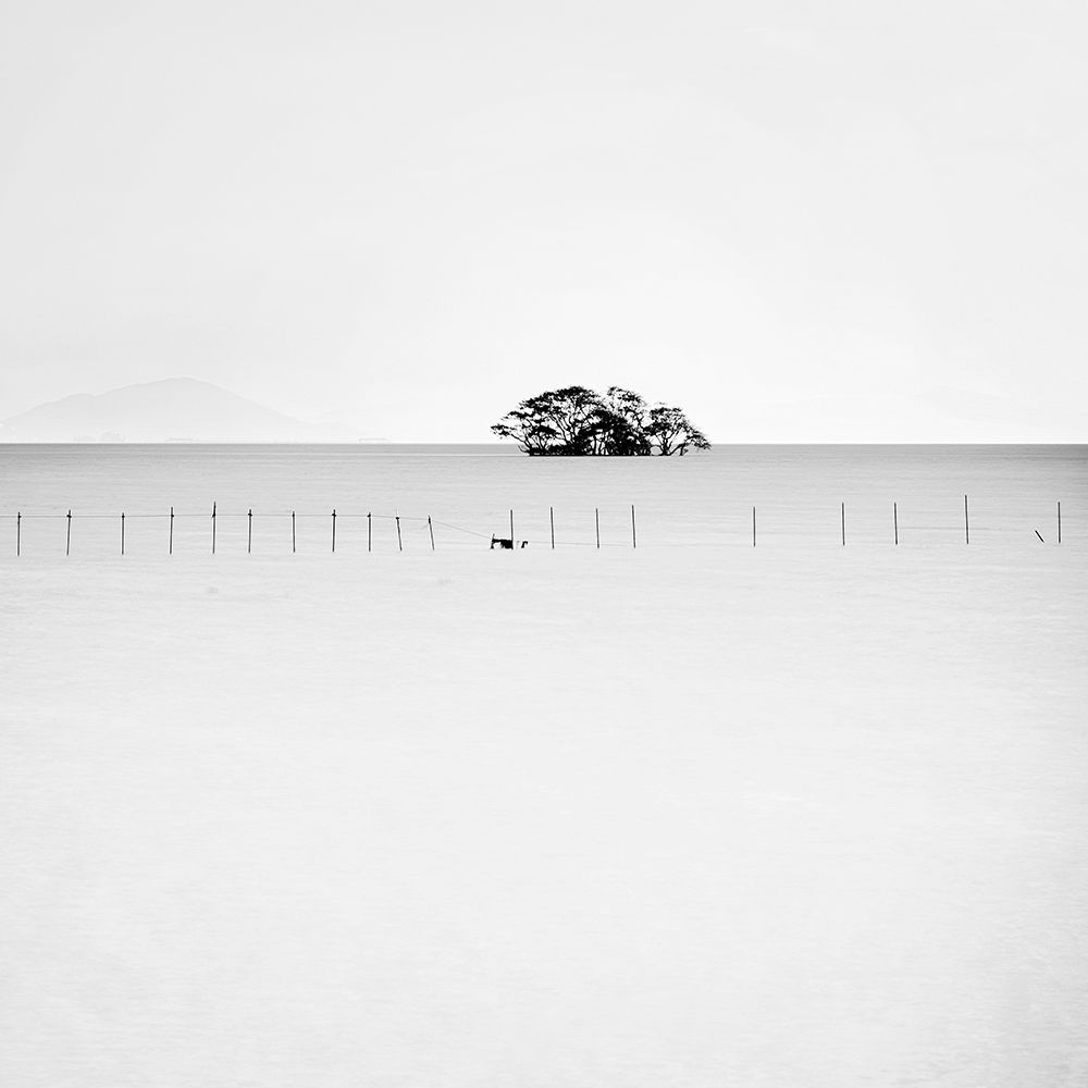 Floating Tree art print by Praxis Studio for $57.95 CAD