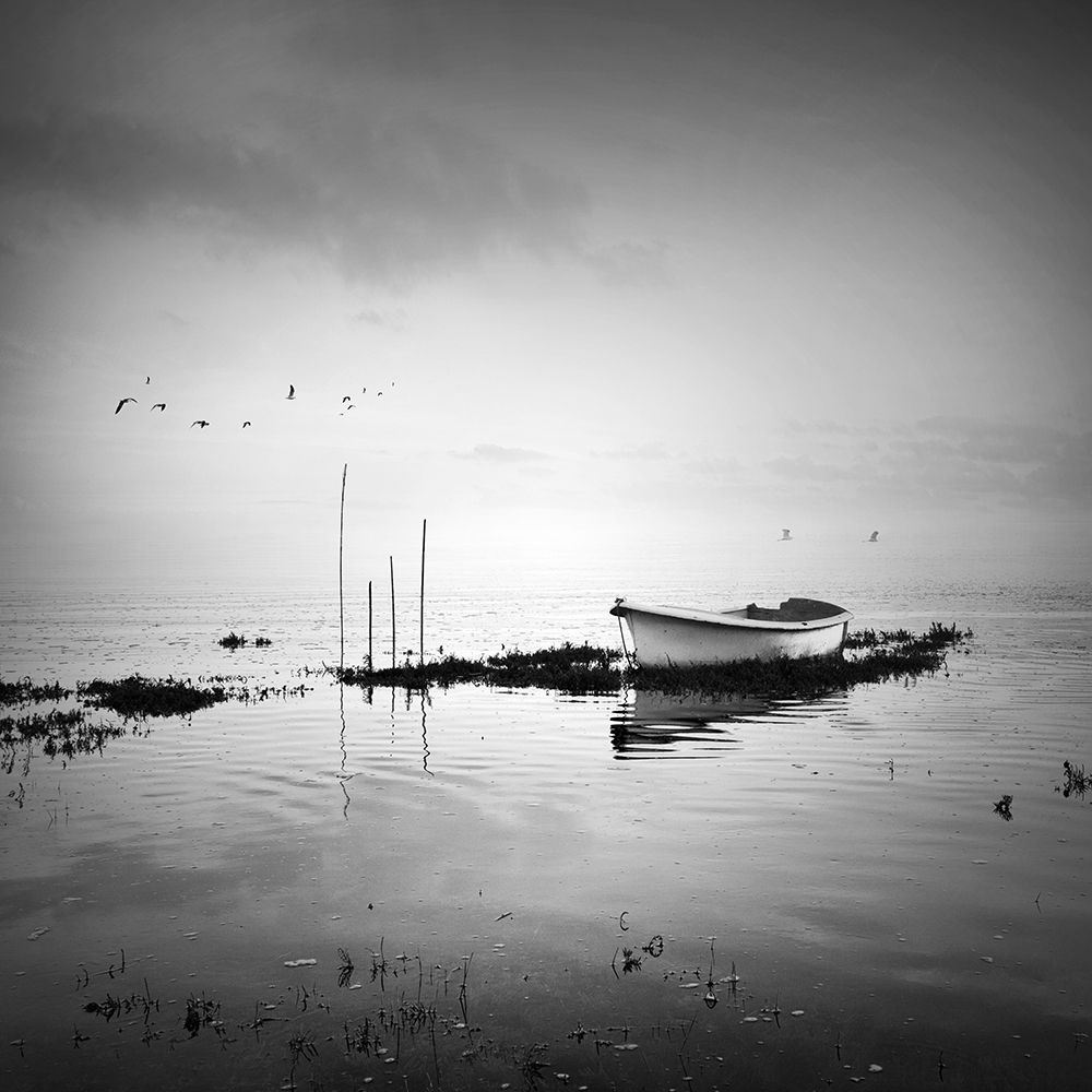 Boat and Birds art print by Praxis Studio for $57.95 CAD
