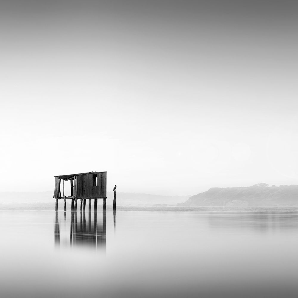 Cabin and Estuary art print by Praxis Studio for $57.95 CAD