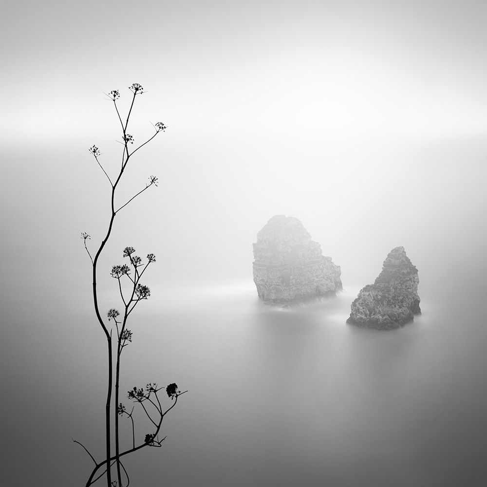 Silhouette and Rocks art print by Praxis Studio for $57.95 CAD