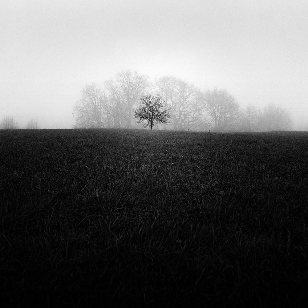 Romantic Fog art print by Praxis Studio for $57.95 CAD