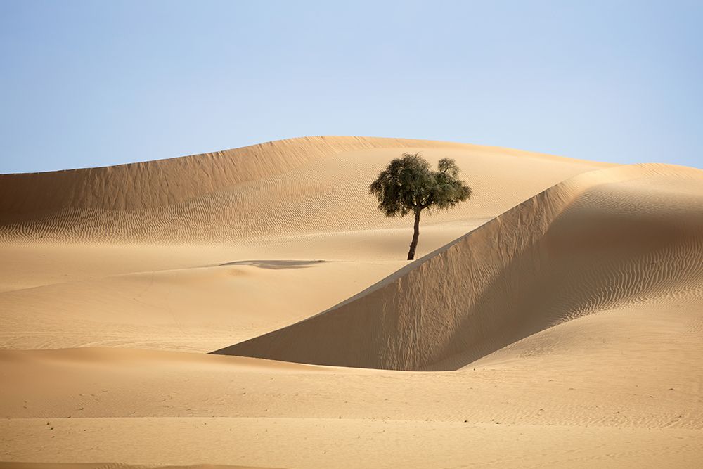 Desert Study A art print by Praxis Studio for $57.95 CAD