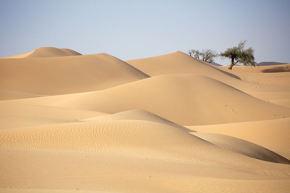 Desert Study B art print by Praxis Studio for $57.95 CAD