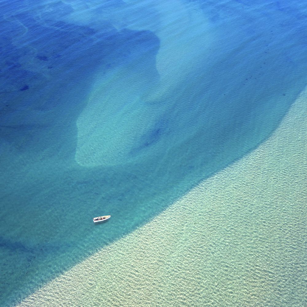 Nature From Above I art print by Praxis Studio for $57.95 CAD