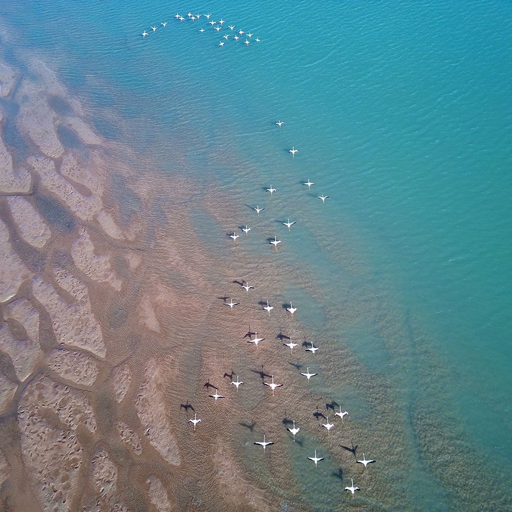 Nature From Above III art print by Praxis Studio for $57.95 CAD