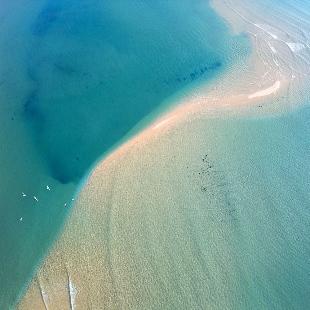 Nature From Above IV art print by Praxis Studio for $57.95 CAD