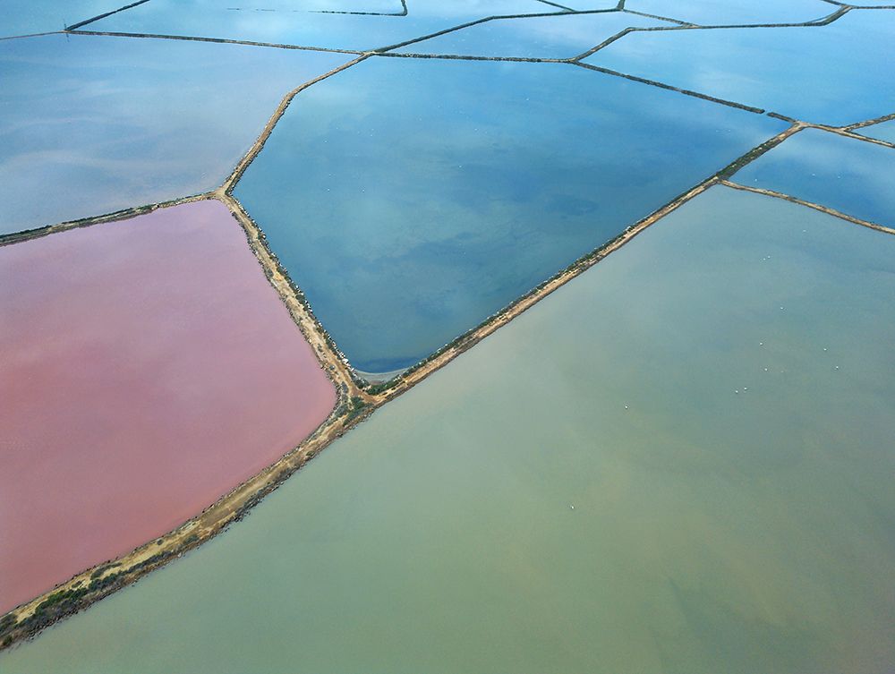 Nature From Above XIV art print by Praxis Studio for $57.95 CAD