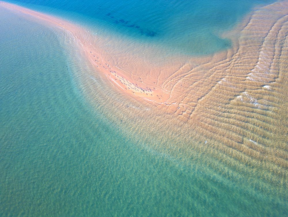 Nature From Above XVI art print by Praxis Studio for $57.95 CAD
