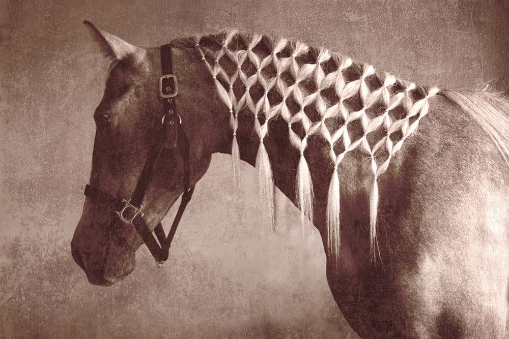 Weave art print by Susan Friedman for $57.95 CAD