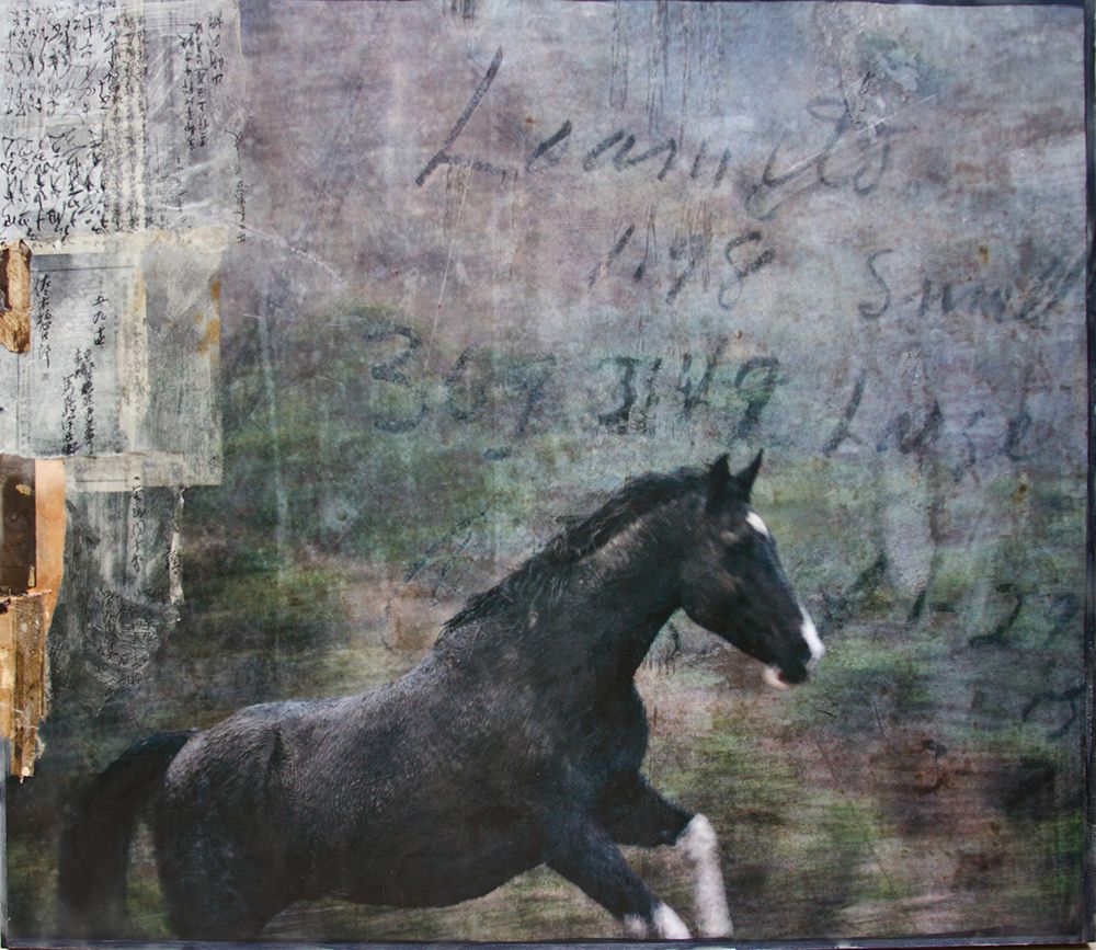Dogie art print by Susan Friedman for $57.95 CAD