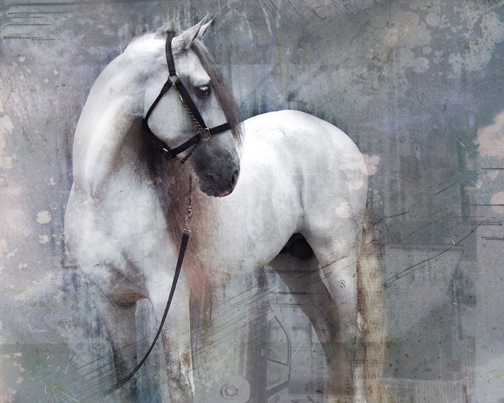 Fiction art print by Susan Friedman for $57.95 CAD
