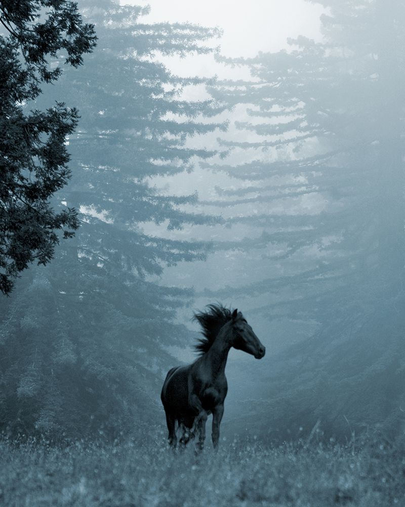 Mystical Orpheo art print by Susan Friedman for $57.95 CAD