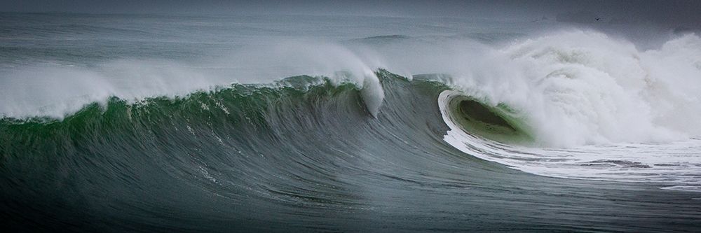 Wild Waves II art print by Susan Friedman for $57.95 CAD