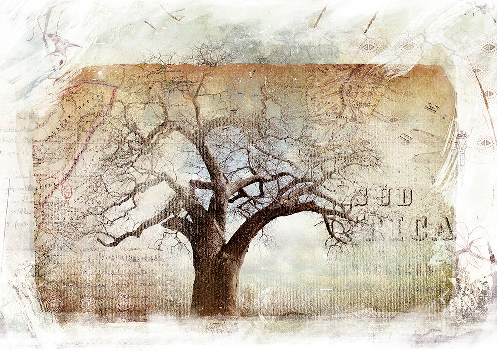Baobab Tree Africa art print by Klaus Tiedge for $57.95 CAD