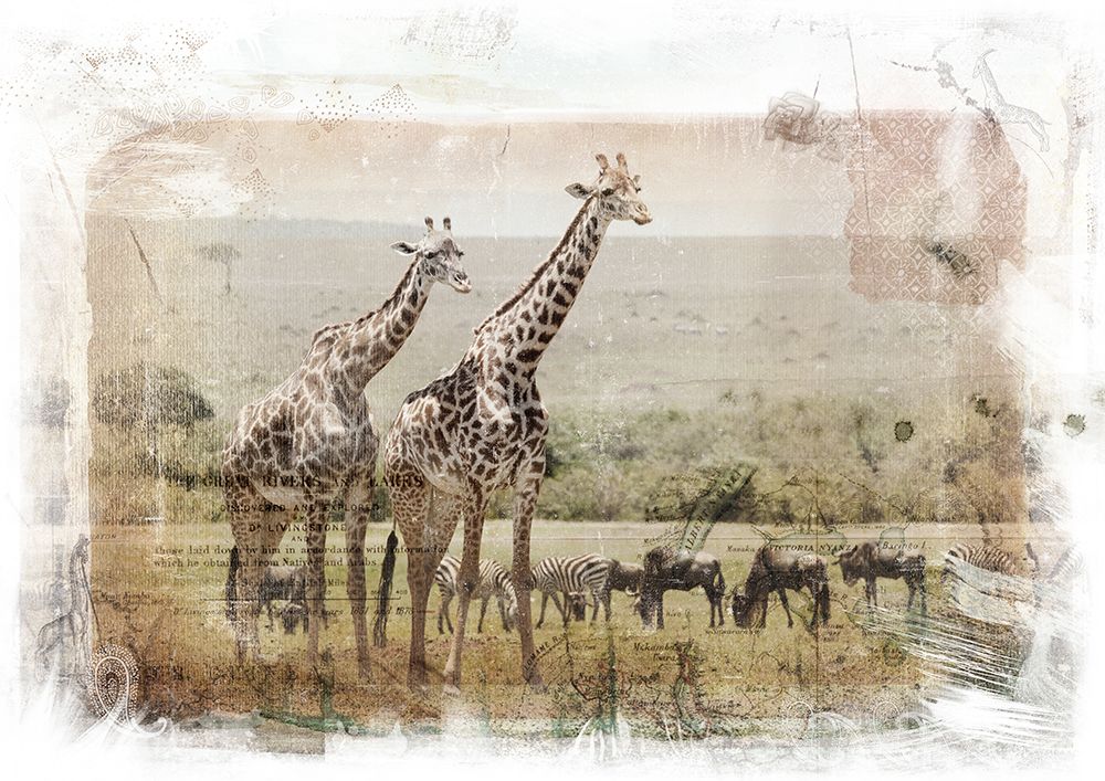 Giraffe Herd art print by Klaus Tiedge for $57.95 CAD