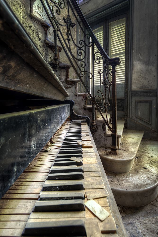 Music Maestro art print by Roman Robroek for $57.95 CAD