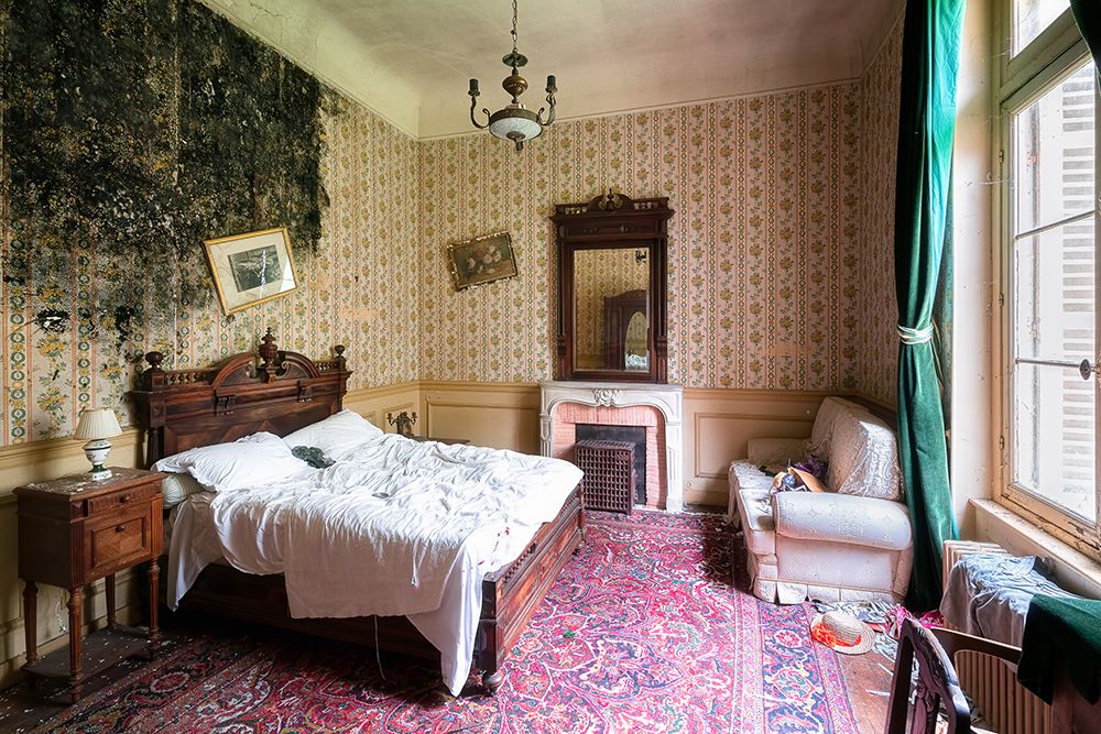 Mold in Bedroom art print by Roman Robroek for $57.95 CAD