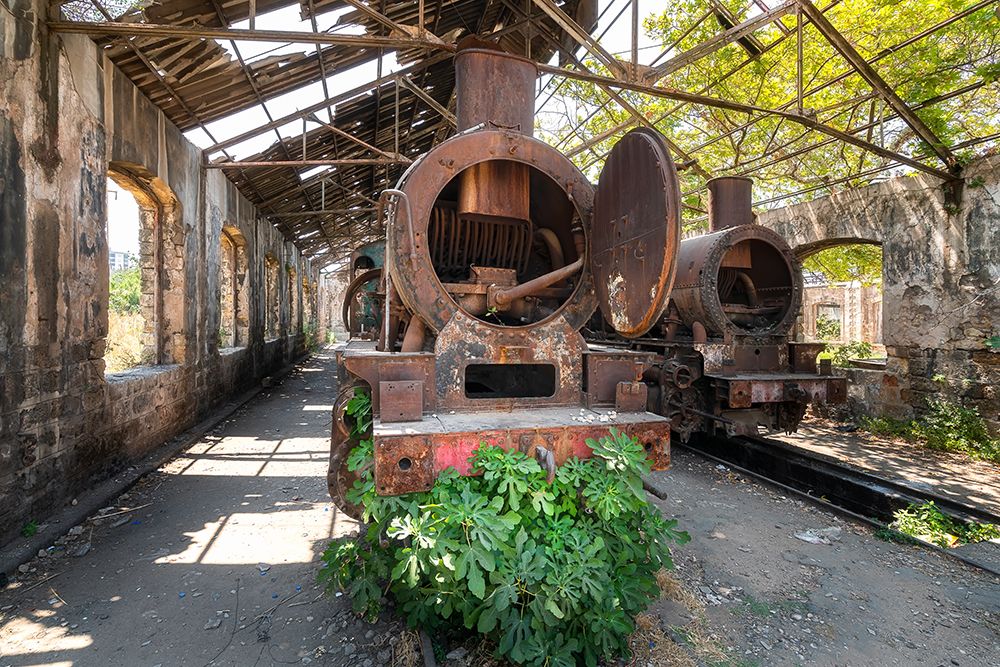 Abandoned Train art print by Roman Robroek for $57.95 CAD