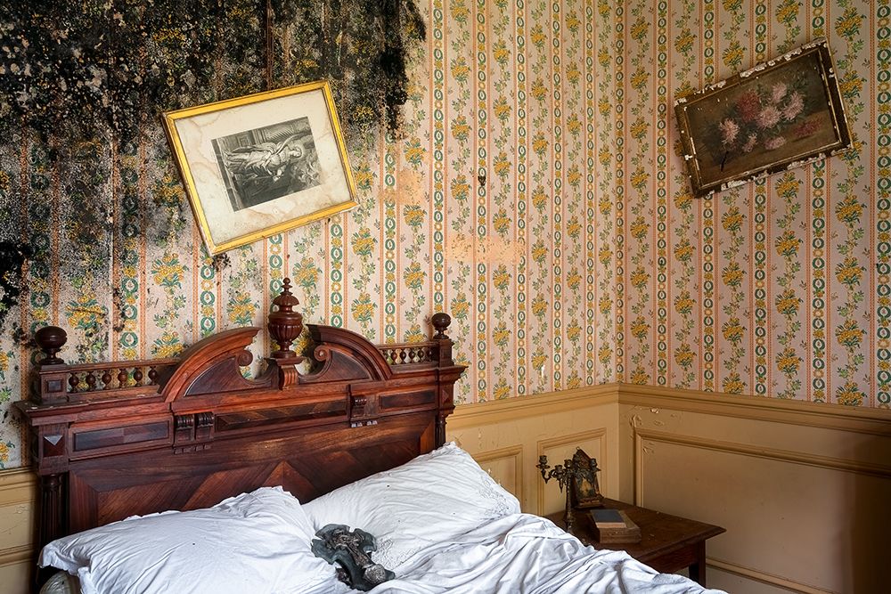 Mold Bedroom art print by Roman Robroek for $57.95 CAD