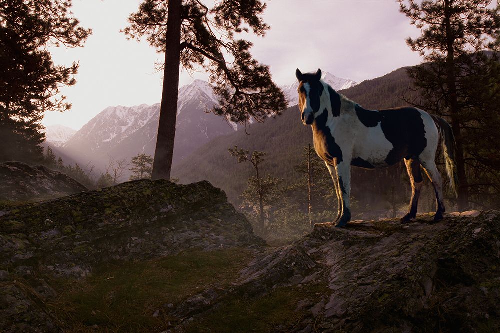 Mountain Splendor art print by Steve Hunziker for $57.95 CAD