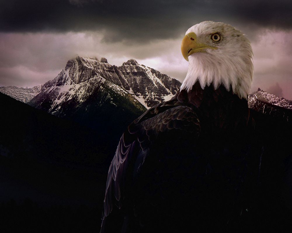 Eagle Mountain art print by Steve Hunziker for $57.95 CAD