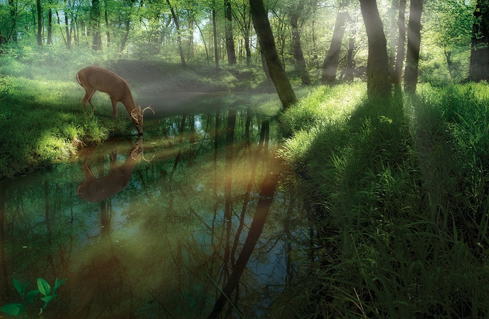 Wellspring art print by Steve Hunziker for $57.95 CAD
