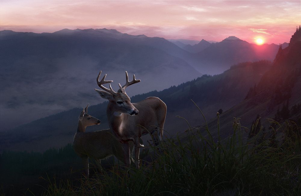 Resplendence art print by Steve Hunziker for $57.95 CAD